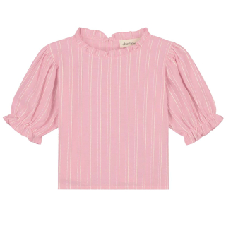 Charlie Petite Blouse Roze/Creme Strepen