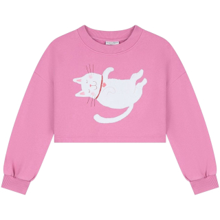Daily Brat Cropped Sweater Love Roll Kitty Roze