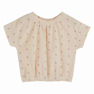 Emile Et Ida T-shirt Creme Appelprint