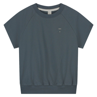 Gray Label T-shirt Blauw Grijs Sleeve Sweater