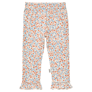House Of Jamie Legging Creme/Roze/Blauw Bloemen Ruffle Baby