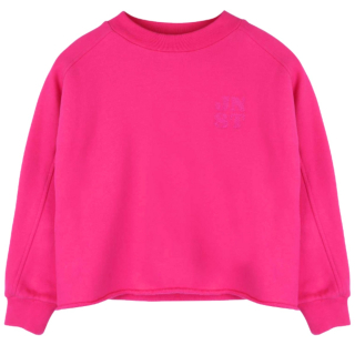 Jenest Sweater Billie Roze