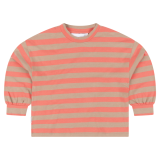 Mingo Longsleeve Beige/Roze Strepen