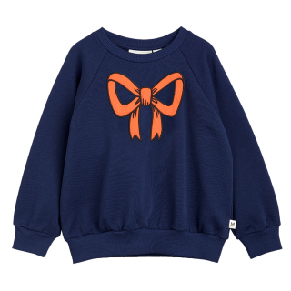 Mini Rodini Sweater Blauw Strik