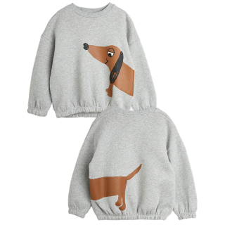 Mini Rodini Sweater Grijs Tekkel