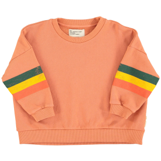 Piupiuchick Sweater Roze/Groen/Geel Strepen