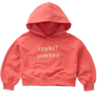 Sproet & Sprout Hoodie Roze Sorbet Sunday