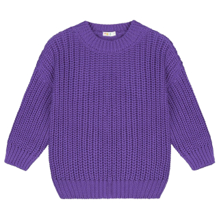 Yuki Gebreide Trui Paars Amethyst