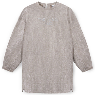 Alix Mini Jurk Zilver Glimmend