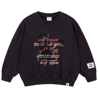 Alix Mini Sweater Eagle On Tour Grijs