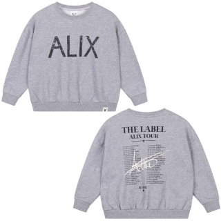 Alix Mini Sweater The Label Alix Tour Grijs