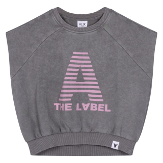 Alix Mini top grijs A The Label