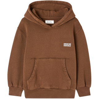 American Vintage Hoodie Bruin