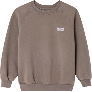 American Vintage sweater bruin cendre Vintage unisex