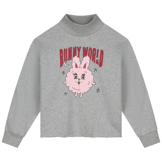 Call Me Frankie Sweater Grijs Bunny World