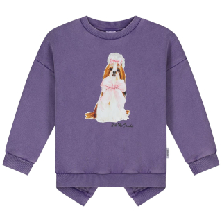 Call Me Frankie Sweater Paars Hond