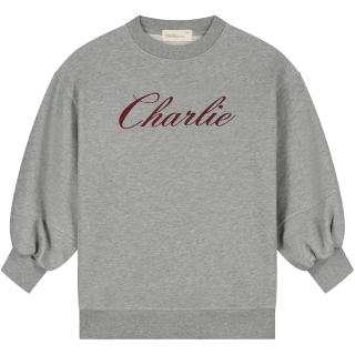 Charlie Petite Jurk Grijs Charlie Nada