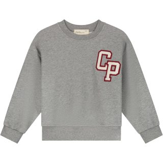 Charlie Petite Sweater Grijs Cp Jackson