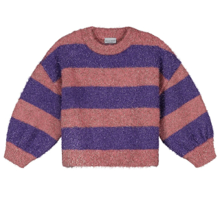 Daily Brat Sweater Roze/Paars Strepen Glitter