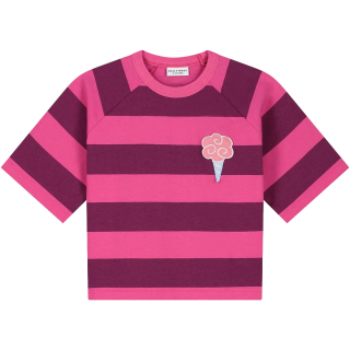 Daily Brat T-shirt paars/roze strepen ijsje