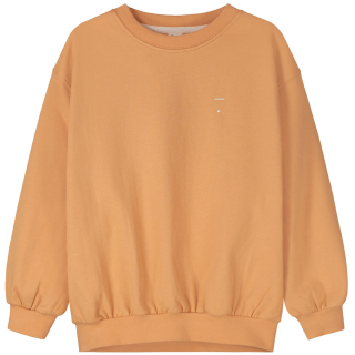 Gray Label Sweater Melon met warme melon kleur, ronde hals, lange mouwen en minimalistische afwerking.