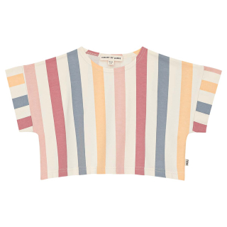 House Of Jamie T-shirt Blauw/Creme/Roze Strepenprint