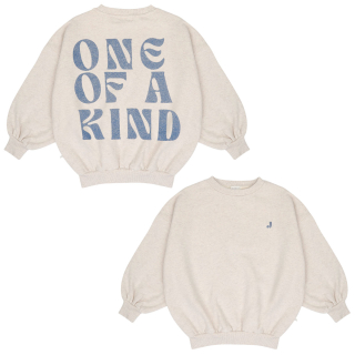 Jenest Sweater Grijs/Blauw One Of A Kind Glitter