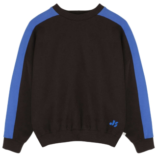 Jenest Sweater Sammy Bruin Blauw met ronde hals en brede blauwe contrastpanelen