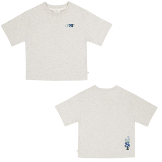Jenest T-shirt grijs jnst