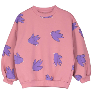 Lotie Kids Sweater Roze/Paars Vogels