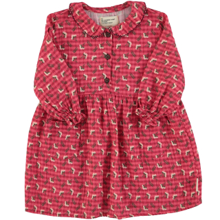 Piupiuchick Jurk Rood/Roze Ruit Bloemen