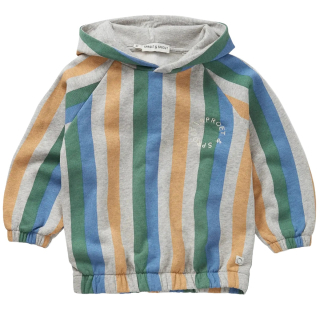 Sproet & Sprout Hoodie Gestreept Grijs Blauw Groen