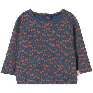 Tiny Cottons Longsleeve Blauw/Rood/Groen Appels