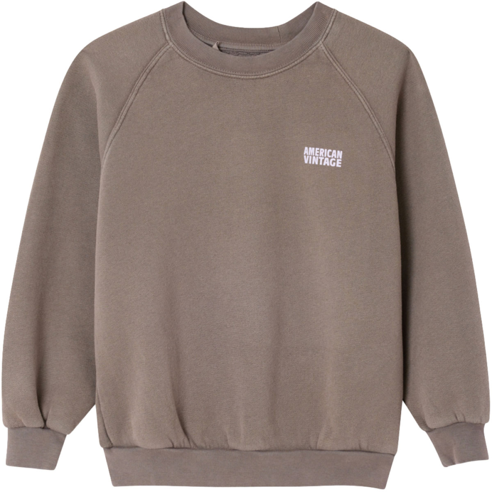American Vintage sweater bruin cendre Vintage unisex