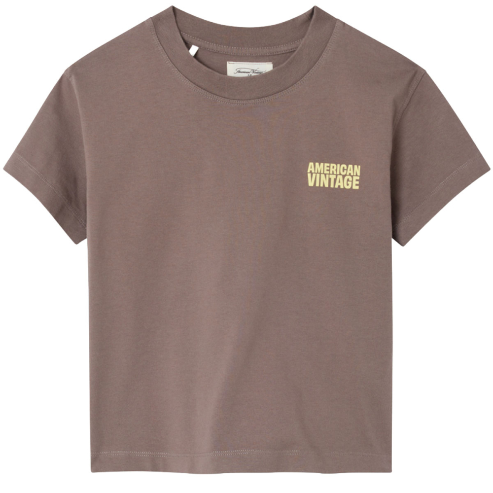 American Vintage T-shirt Bruin Cendre Ash
