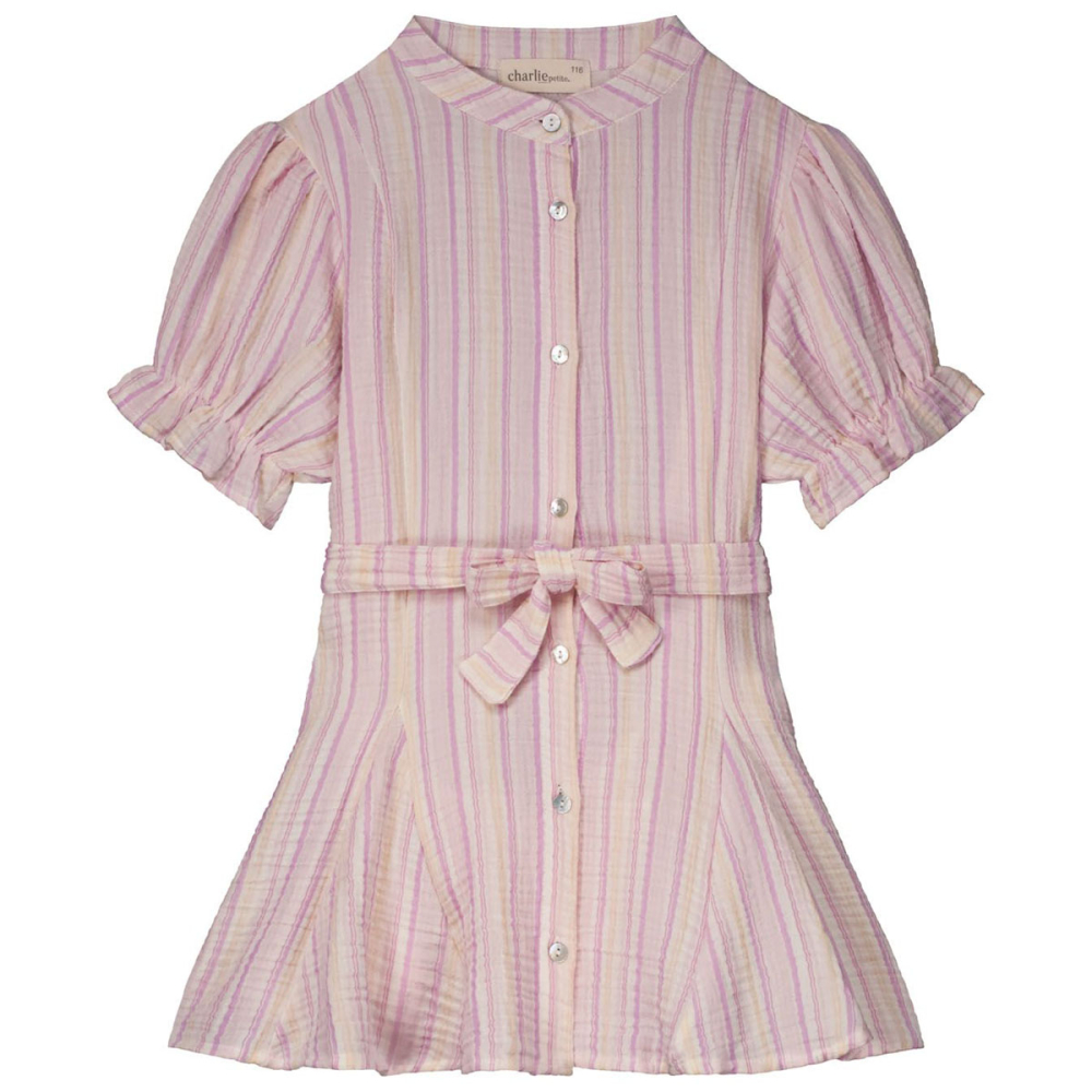 Charlie Petite Jurk Paars/Roze/Geel Strepen