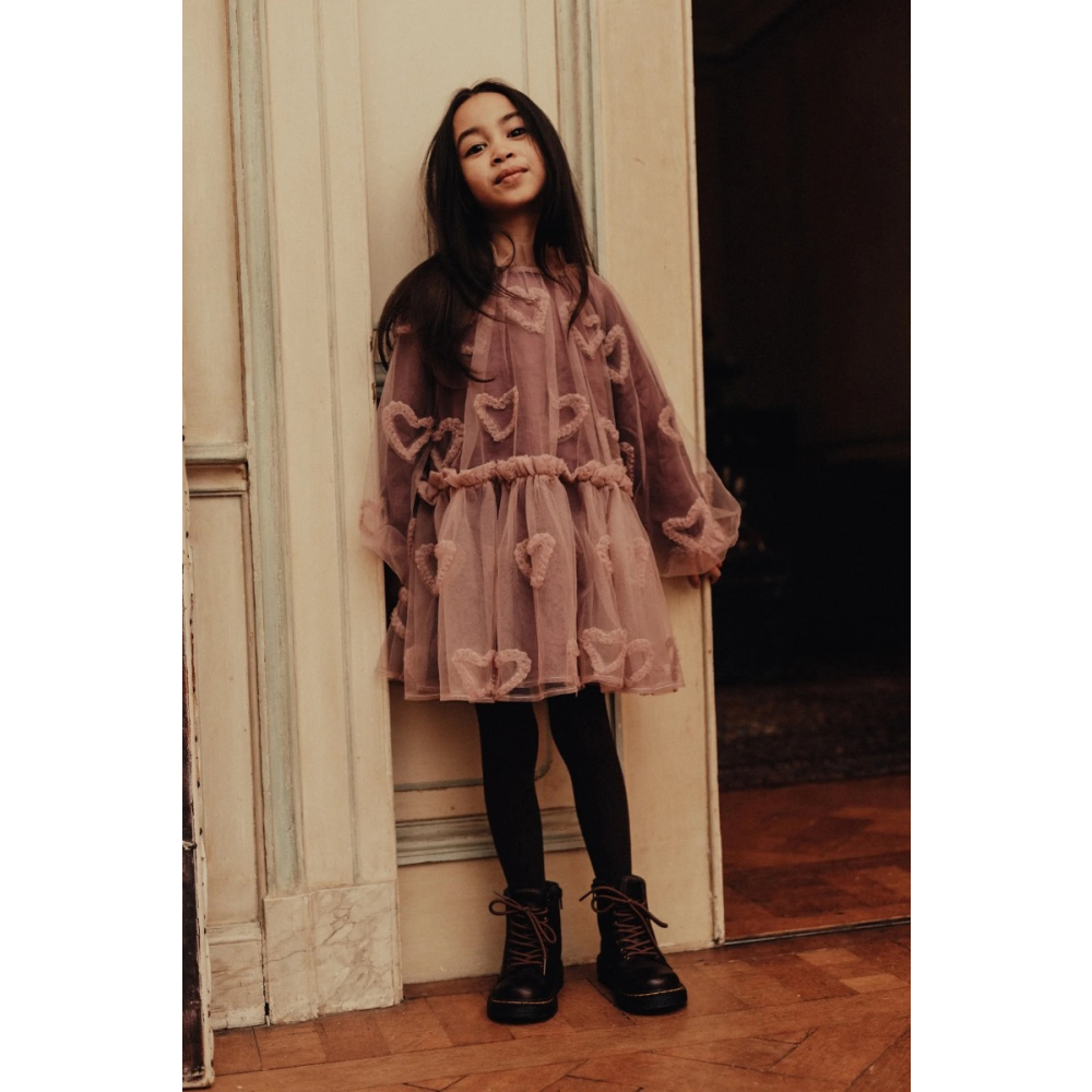 Baje Studio Jurk Paars Tule Hartjes Camberlya Purple Plum
