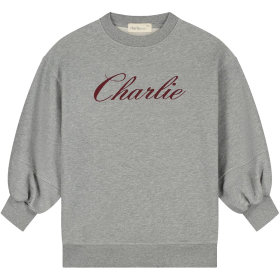 Charlie Petite Jurk Grijs Charlie Nada