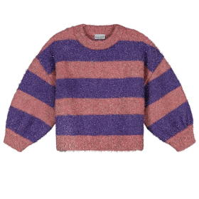 Daily Brat Sweater Roze/Paars Strepen Glitter