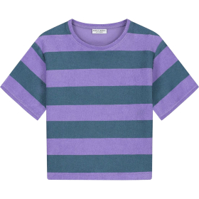 Daily Brat T-shirt groen/paars strepen badstof
