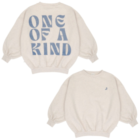 Jenest Sweater Grijs/Blauw One Of A Kind Glitter