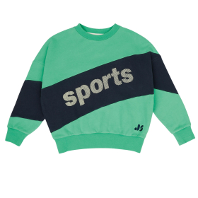 Jenest Sweater Groen/Blauw Sports Streep