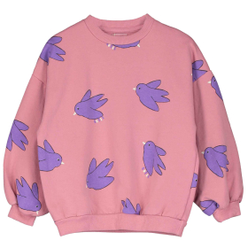 Lotie Kids Sweater Roze/Paars Vogels