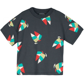 Lötie Kids T-Shirt Grijs Windsurf