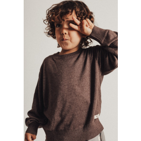 Baje Studio Trui Ditton Bruin