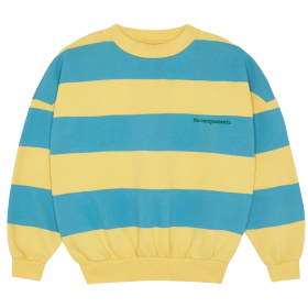 The Campamento sweater geel blauw gestreept voorkant