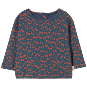 Tiny Cottons Longsleeve Blauw/Rood/Groen Appels
